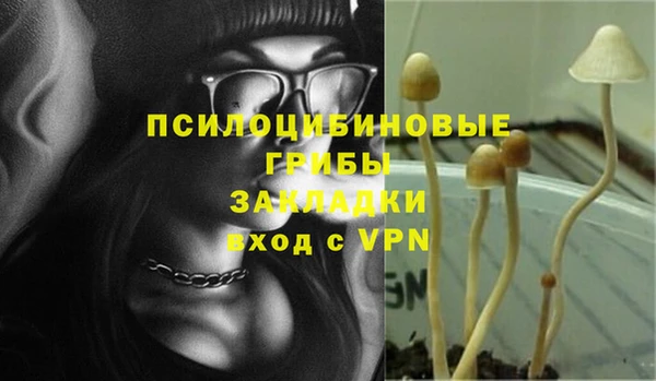 герыч Семилуки