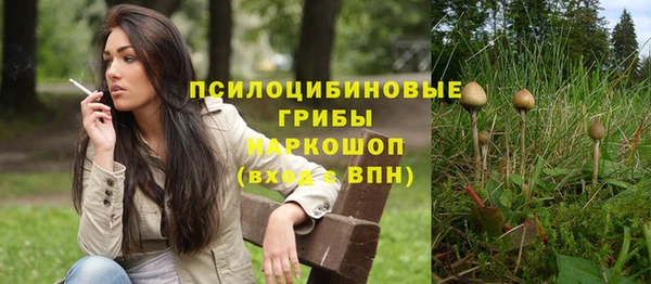 альфа пвп Беломорск