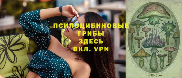 jwh Белокуриха