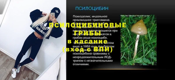 соль ск Балабаново